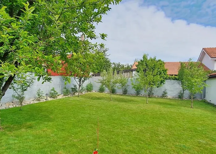 Casa Berzei 1 Timişoara