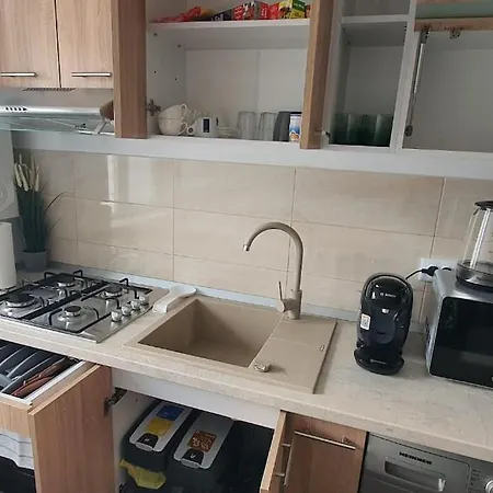 别墅 Casa Berzei 1