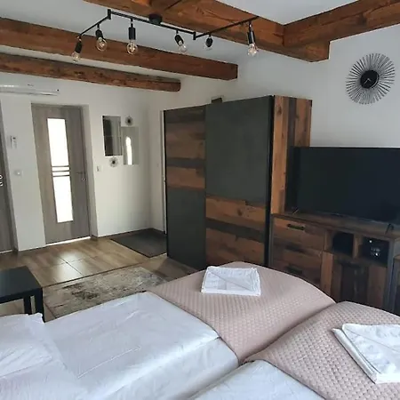 Casa Berzei 1 * 蒂米什瓦拉