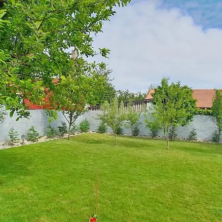 Casa Berzei 1 Timisoara