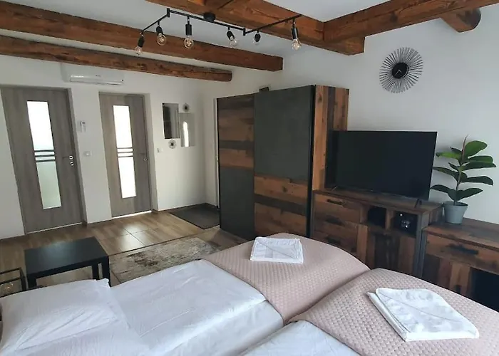 Casa Berzei 1 * 蒂米什瓦拉